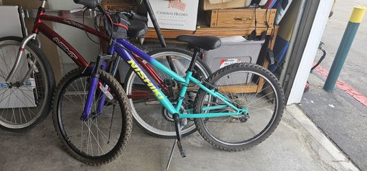 Nishiki Mountain Bike