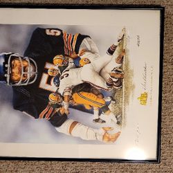 Dick Butkus Hall Of Fame Induction 