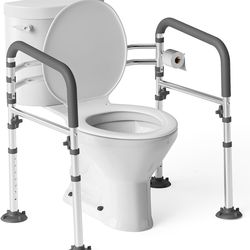 Toilet safety rail