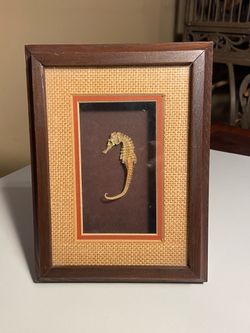 Beautiful Seahorse in Shadow Box Frame. A Great Addition