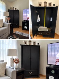 Custom Hidden Cat Litter Box Cabinet