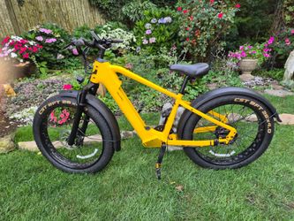 Electric Bike, All-Weather Commuter
