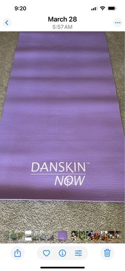 Reebok +Danskin floor Exercises /yoga Matt