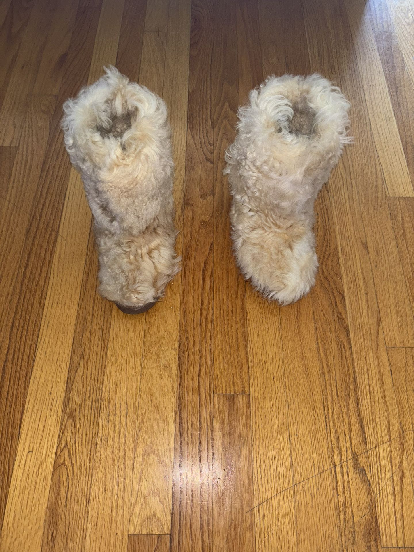 Saint Laurent Booly Boots – Size 38 (US 7.5)