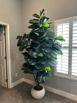 Faux 8’ (96”) Fiddle Leaf Tree (w/o pot)