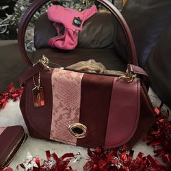 2 pc  coach bag 