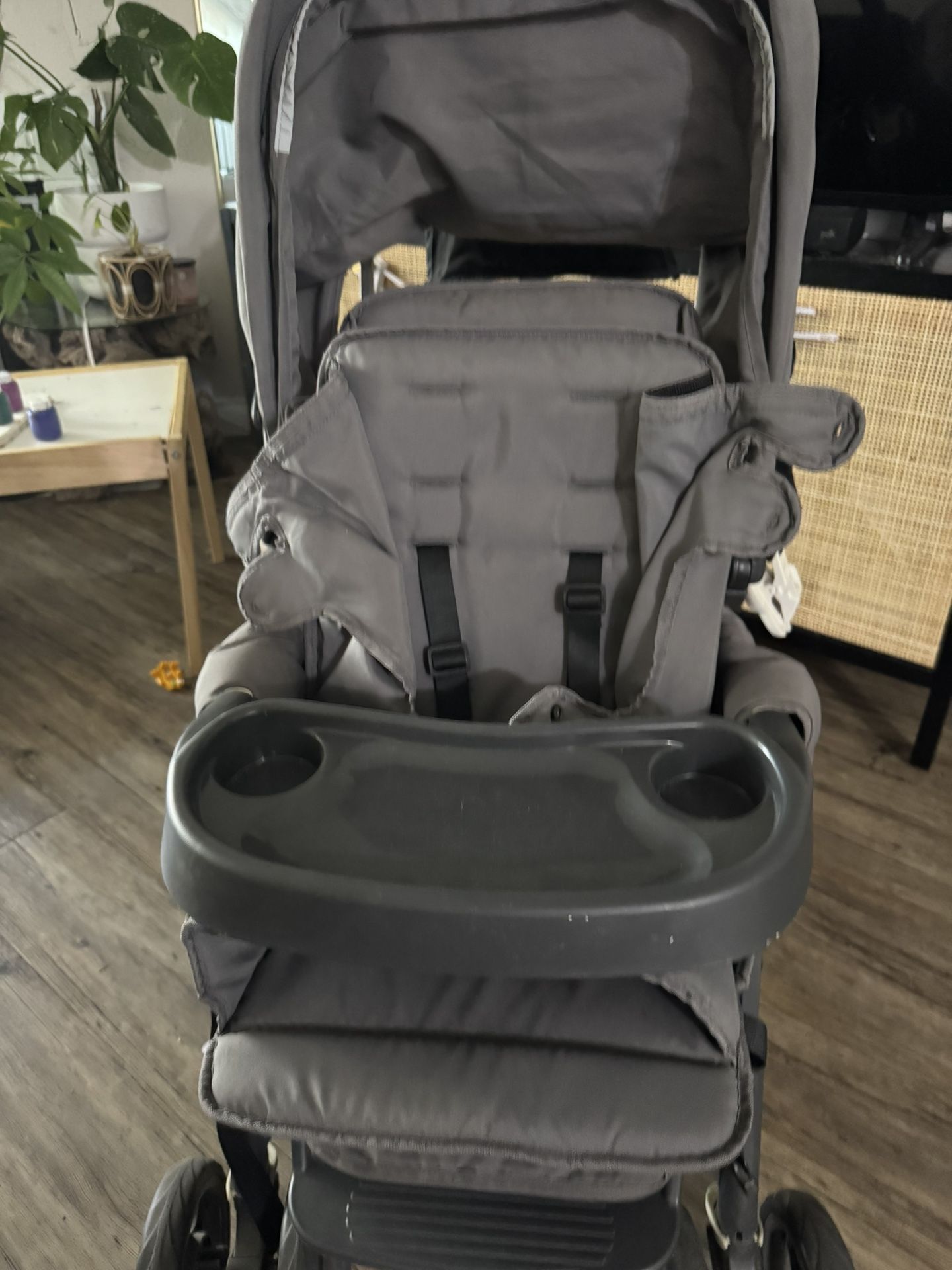 Sit And Stand Double Stroller