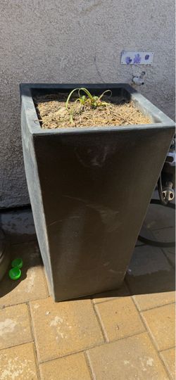 Planters (2)
