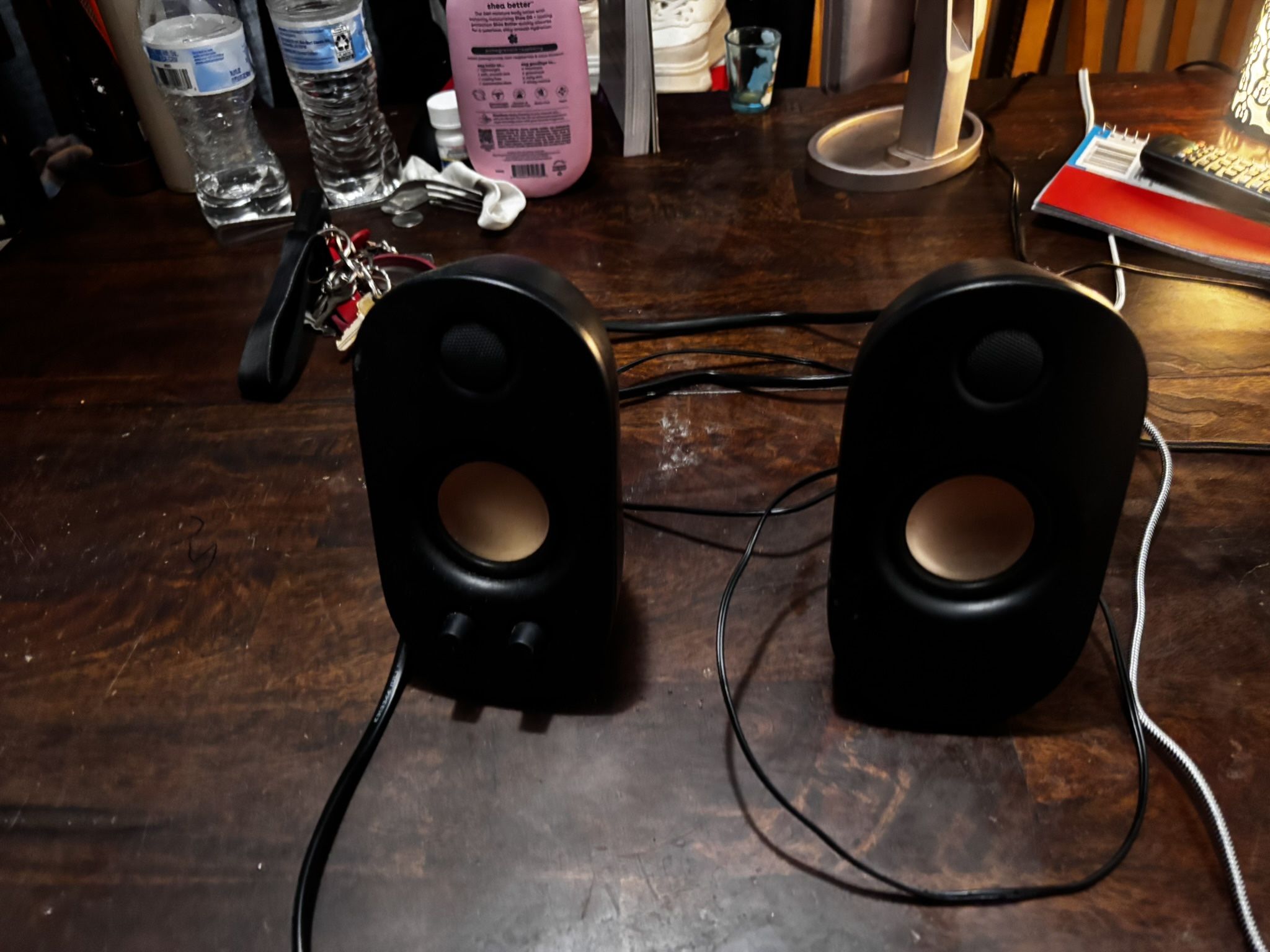 Desktop Speakers