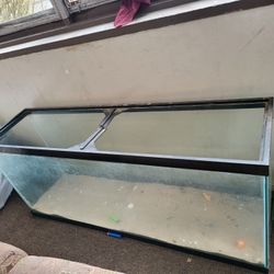 50 Gallon Tank 
