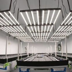 Grow Room Consultation And Equipment