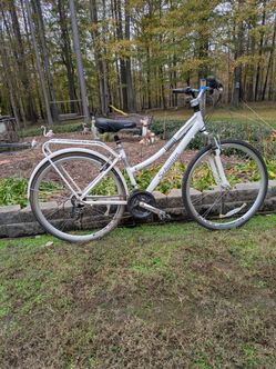 700x 35 Schwinn Bicycle