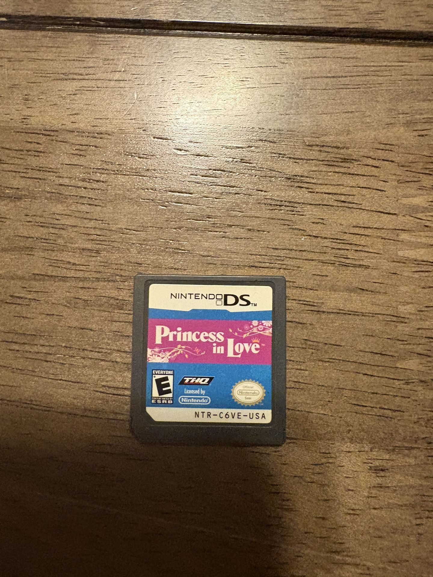 Nintendo DS Cassette