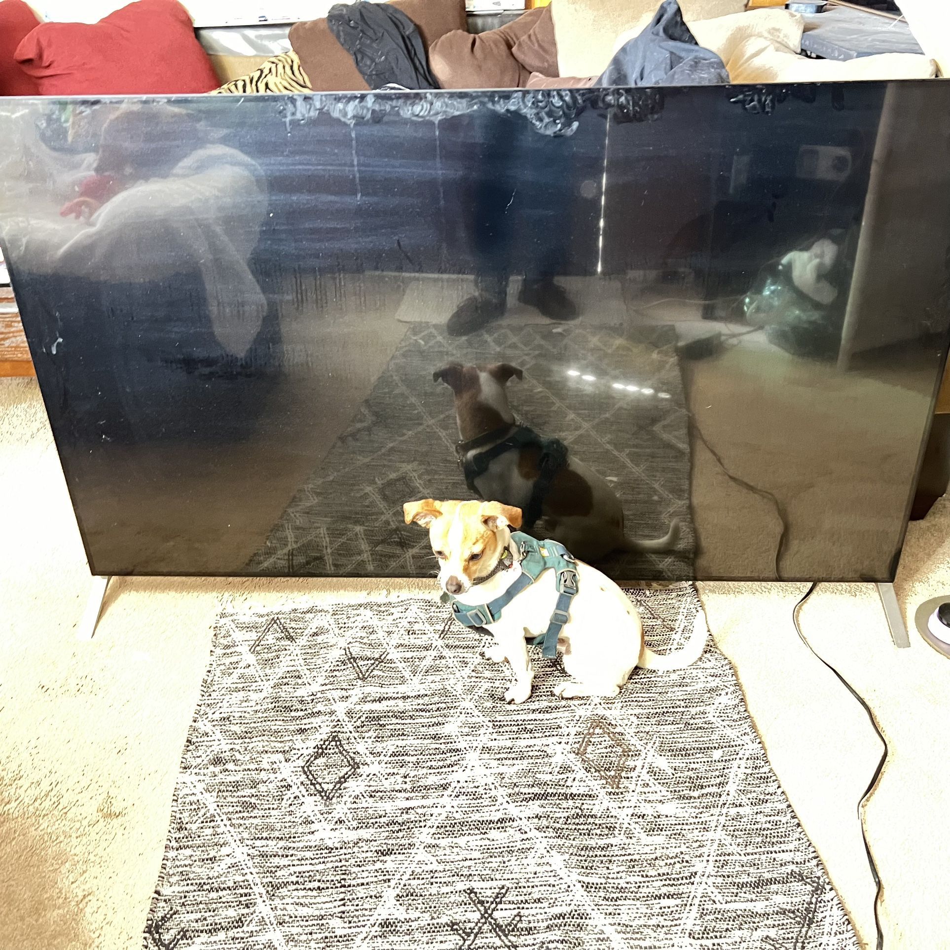 Sony 65 Inch Smart 4K Ultra HD TV - XBR-65X900C
