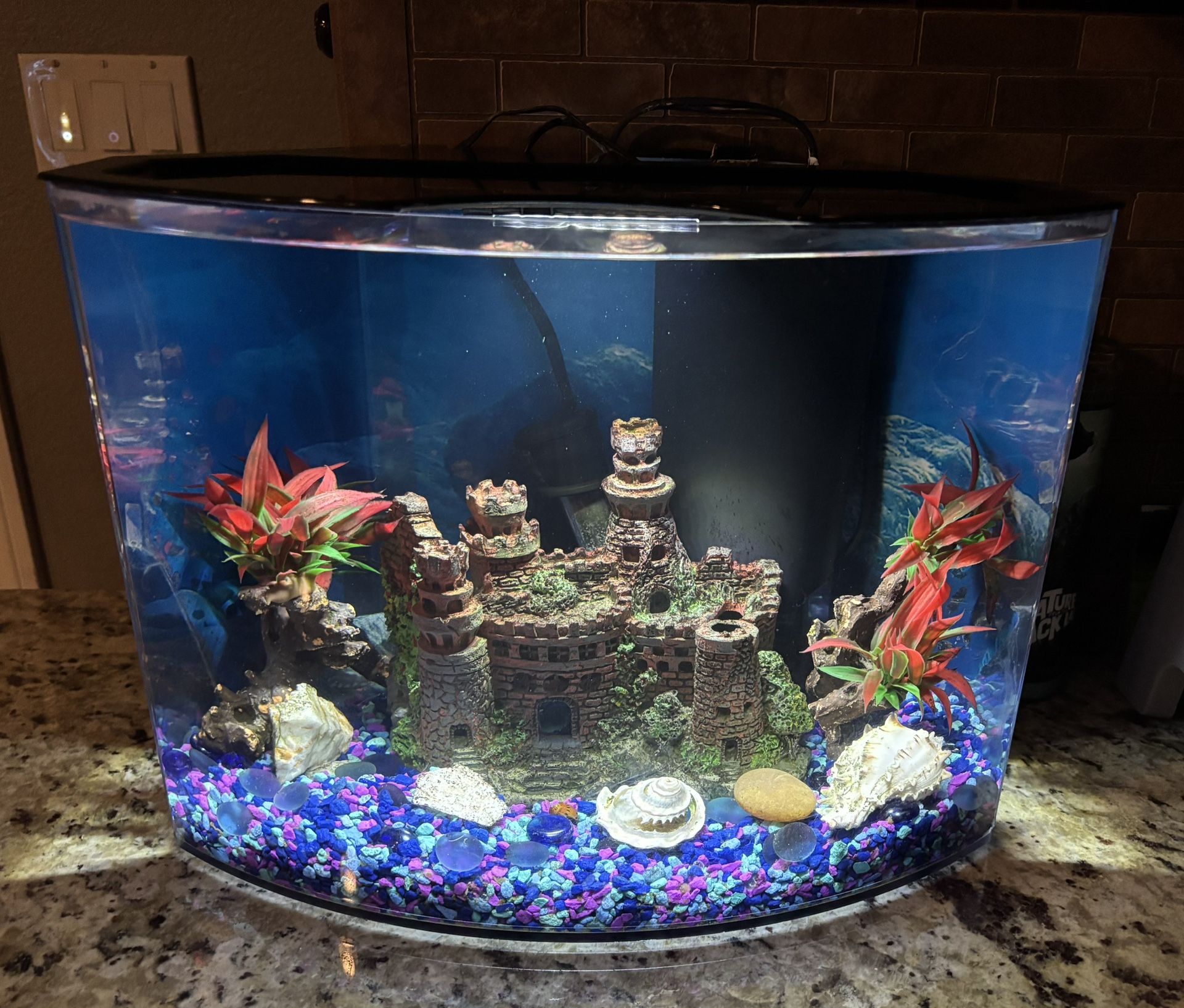 5 Gallon Bowfront Aquarium complete - REDUCED!