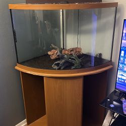 Reptile/Insect Tank 70 Through 80 Gallon Tank With Plug-In Zoo Med Heating Pad With Decorations