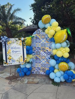 Balloon Garland & Backdrop 