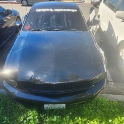 2005 Mustang