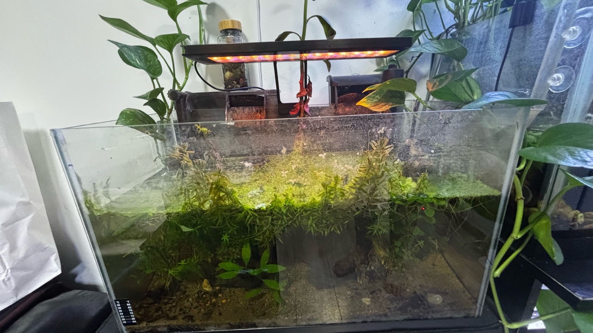Fish tanks
