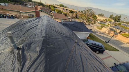 Tarps
