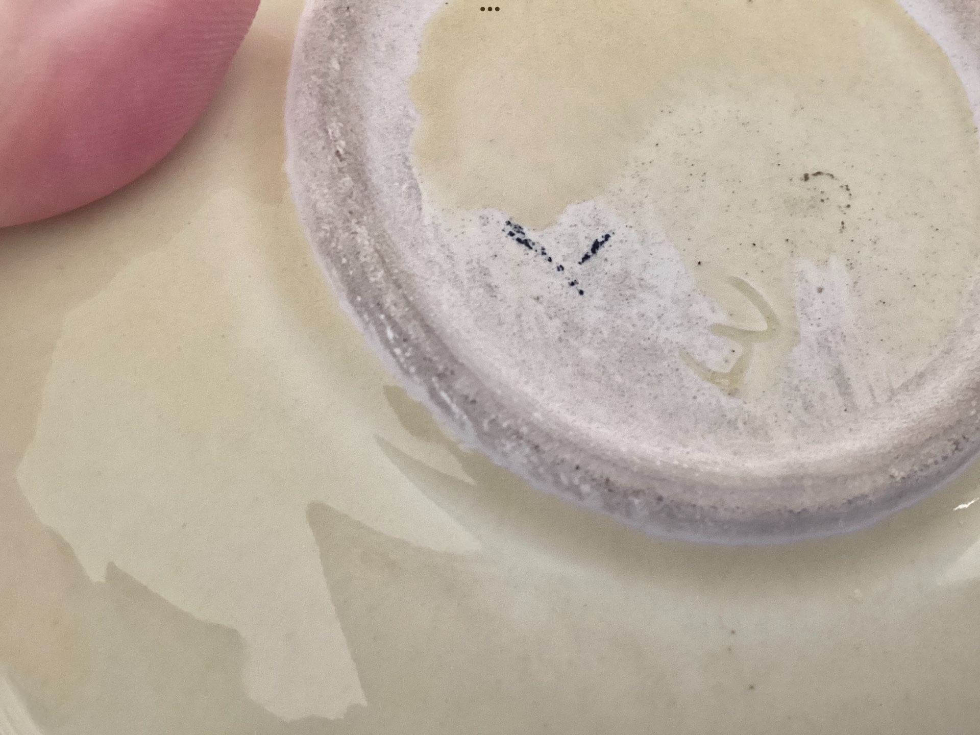 1940s Art Nouveau Style Porcelain Dish / Ashtray + Bowl Applied Magnolia Hand Painted Flowers