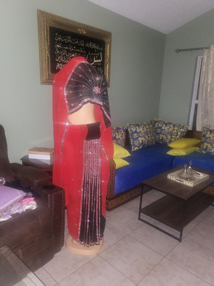 Indian Palistani Sari Brand New