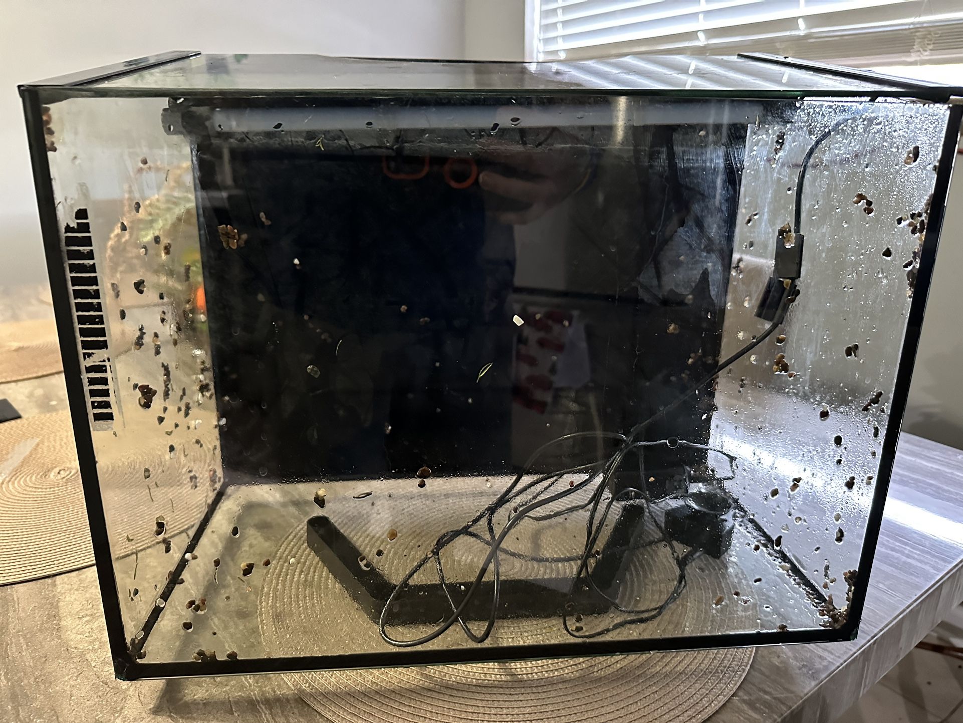 Tank Fish 
