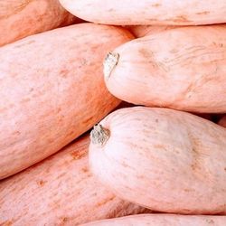 Rare Organic Jumbo Pink Banana Winter Squash Seeds! 2026 SEASON EARLY RELEASE! 