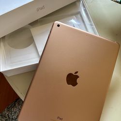 Apple iPad - rose Gold 128GB (6th Gen With WiFi) 
