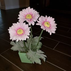 Pink potted Gergera Daisy floral arrangement approx 14" tall
