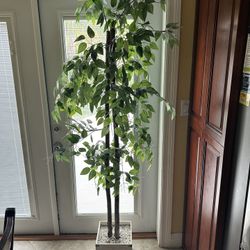 Tall Faux Ficus Tree Plant Home Decor White Wood Planter Box Solid & Sturdy Gorgeous 