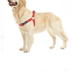 Dog Harness Size Large