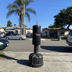 CENTURY WAVEMASTER PUNCHING BAG 