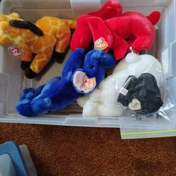 Beanie Babies Collection 