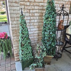 Topiary (3), H 29", H 50", H 61", All $85