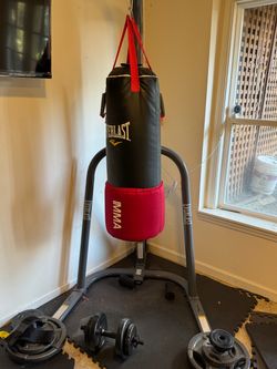 Everlast MMA 70lb Heavy Punching Bag & Steel Stand Combo