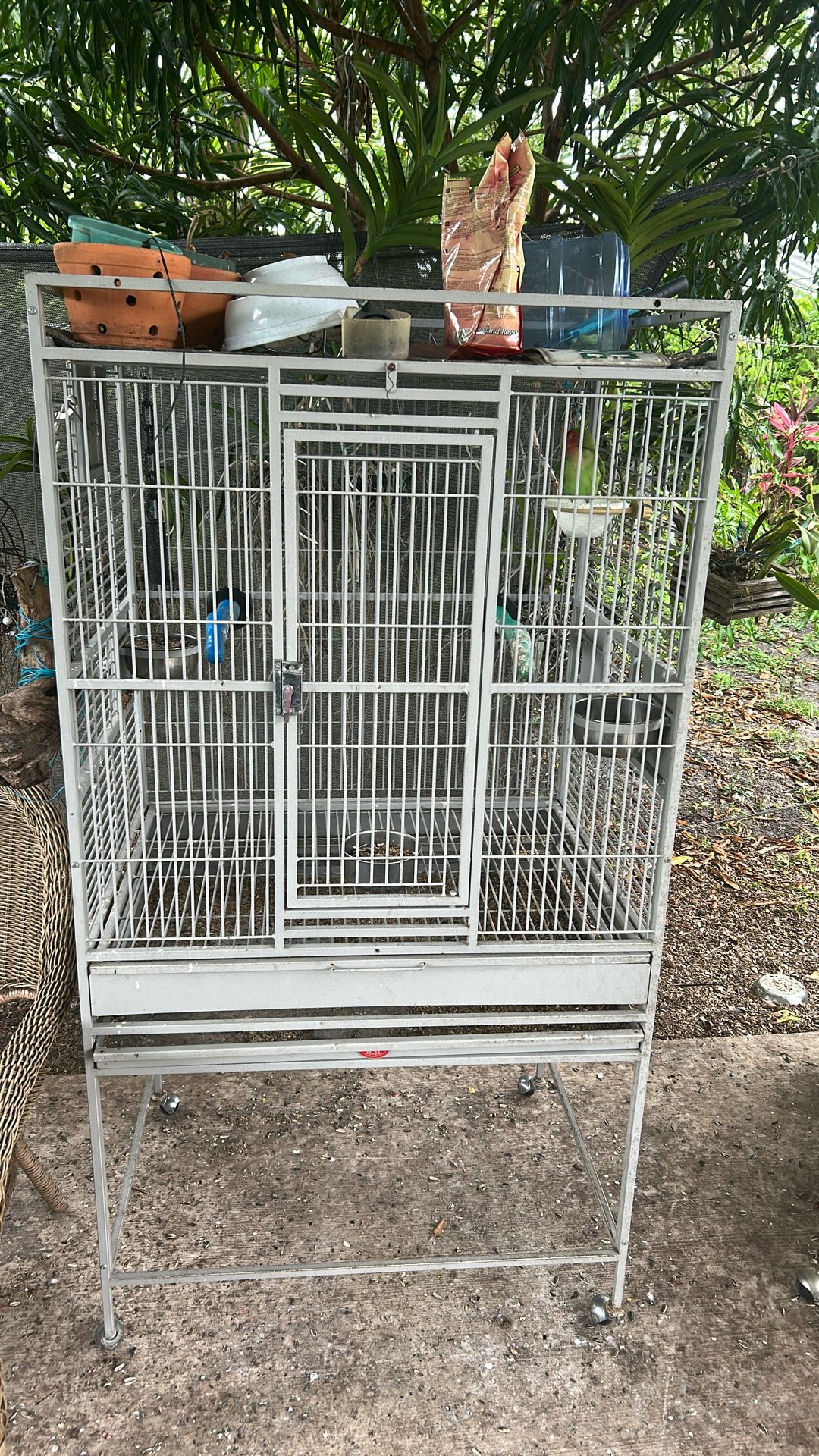 Cage With One Love Bird
