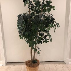 Decorative Tree