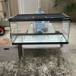 Reptile/fish Glass Tank (large)
