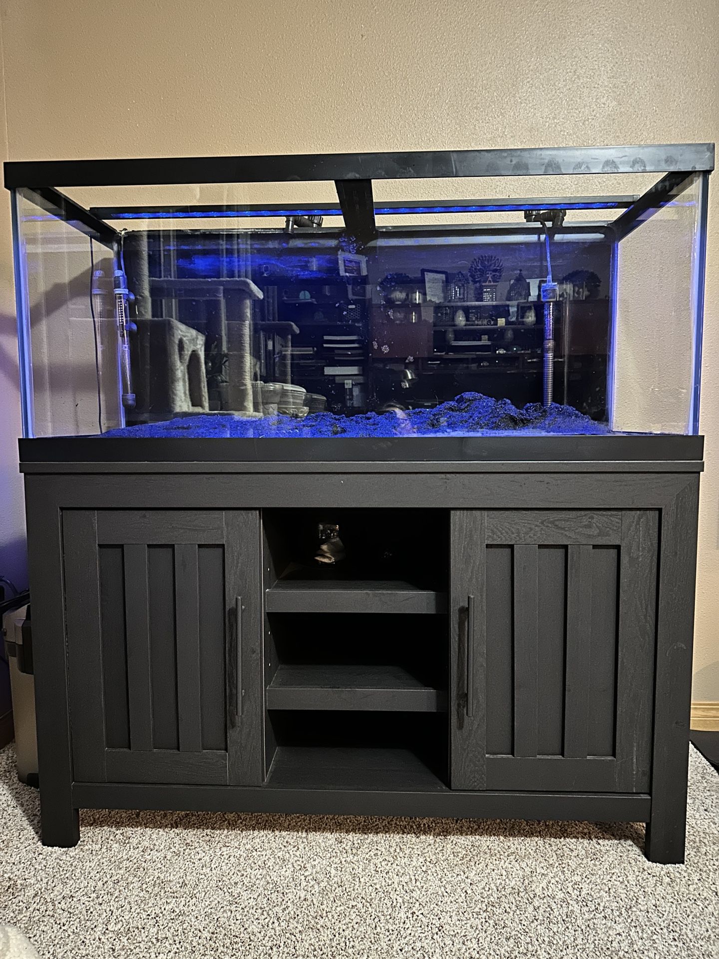 75 Gallon Aquarium Full Setup With Stand Ready To Go for Sale in Marysville, WA OfferUp