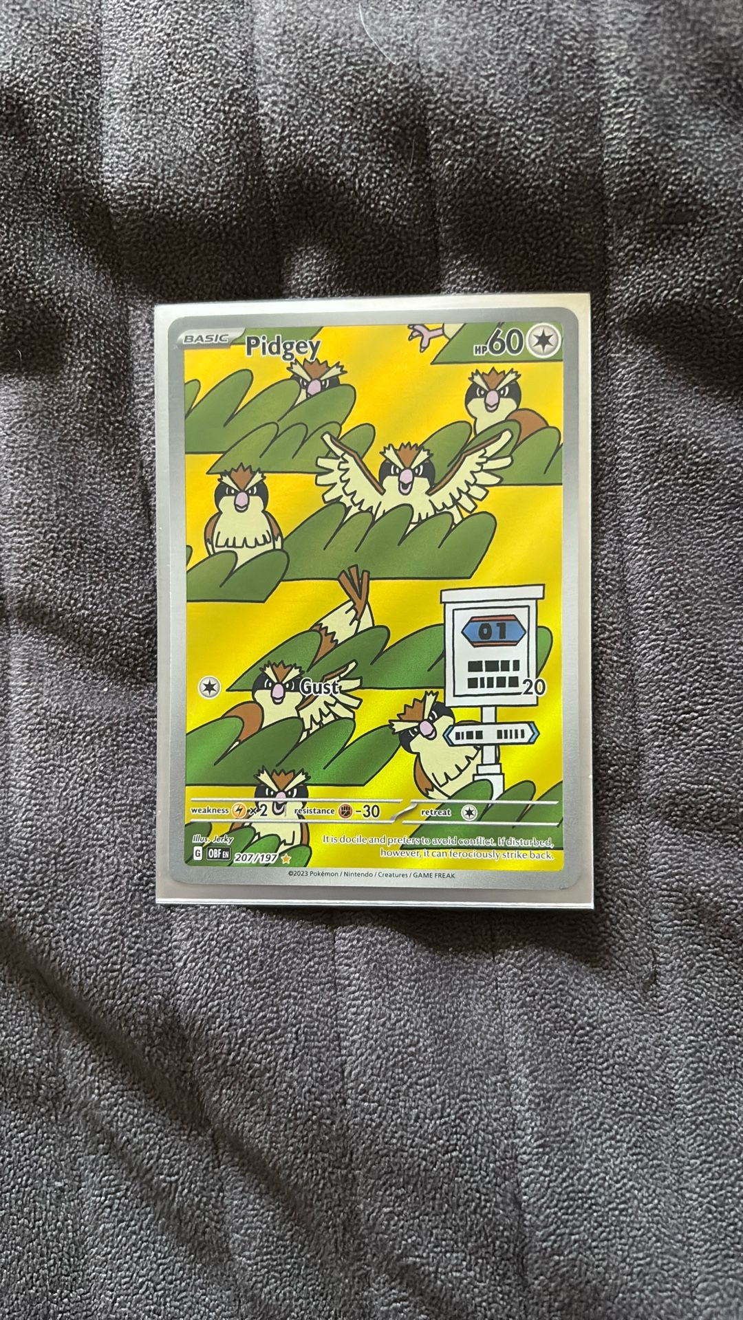 Pidgeot Art Rare Sets