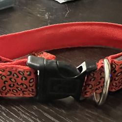 Dog Collar