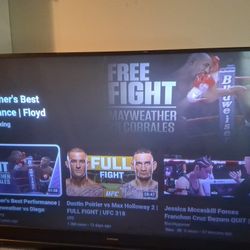 Mitsubishi 85" Big Screen TV  ( Not  a Flatscreen