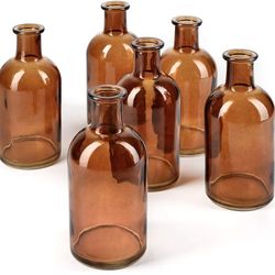  Reception, Mini Flower Vases, Small Medicine Bottles for Home Decor (Amber, Set of 6)

