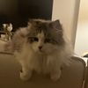 Vicki