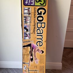 Go fit Go Bar Workout Kit