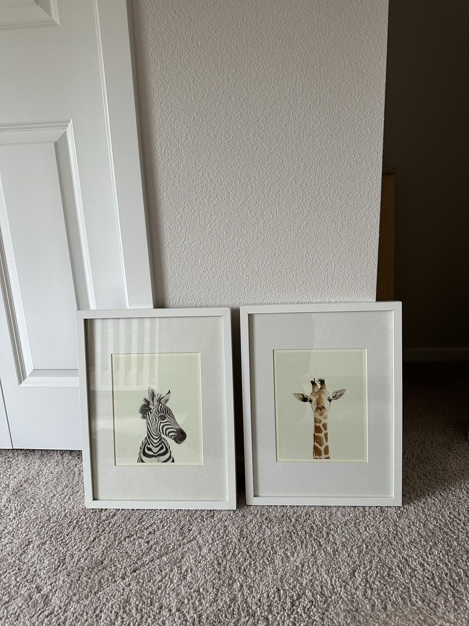 Animal Nursery Picture Frames