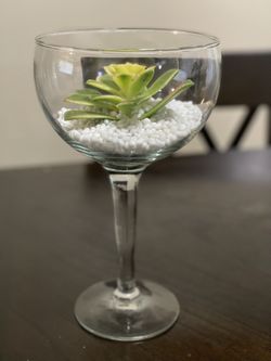 Plant For Sale