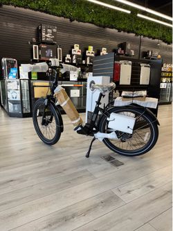 E magnum electric bike