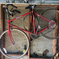 Randor Triathlon 23" 10 speed mens roadbike